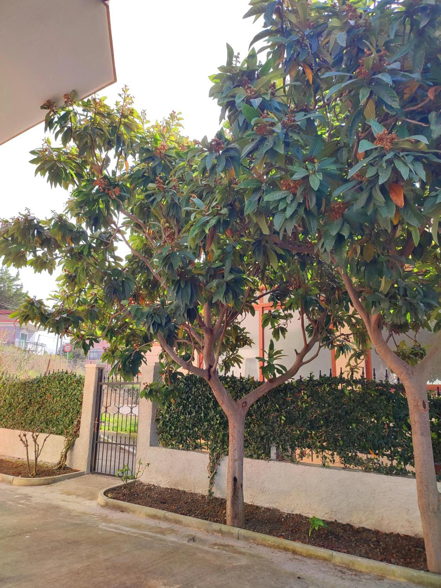 Bp Beach Apartments Golem  Exterior foto